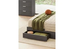 Amy Upholstered Panel Bed W/ Storage In Dark Oak, Queen