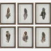 Birds Of A Feather Wall Art, Set Of 6