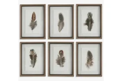 Birds Of A Feather Wall Art, Set Of 6