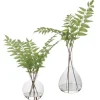 Country Ferns, Set Of 2