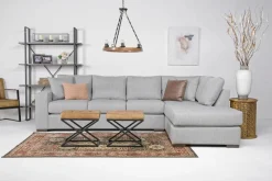 Dennon Sofa Chaise Sectional In Pebble, Right Facing