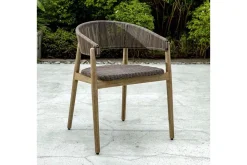 Dermott Outdoor Side Chair In Brown, Set Of 2