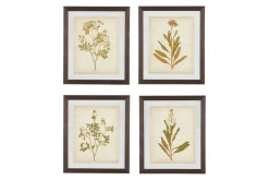 Dyani Wall Art, Set Of 4