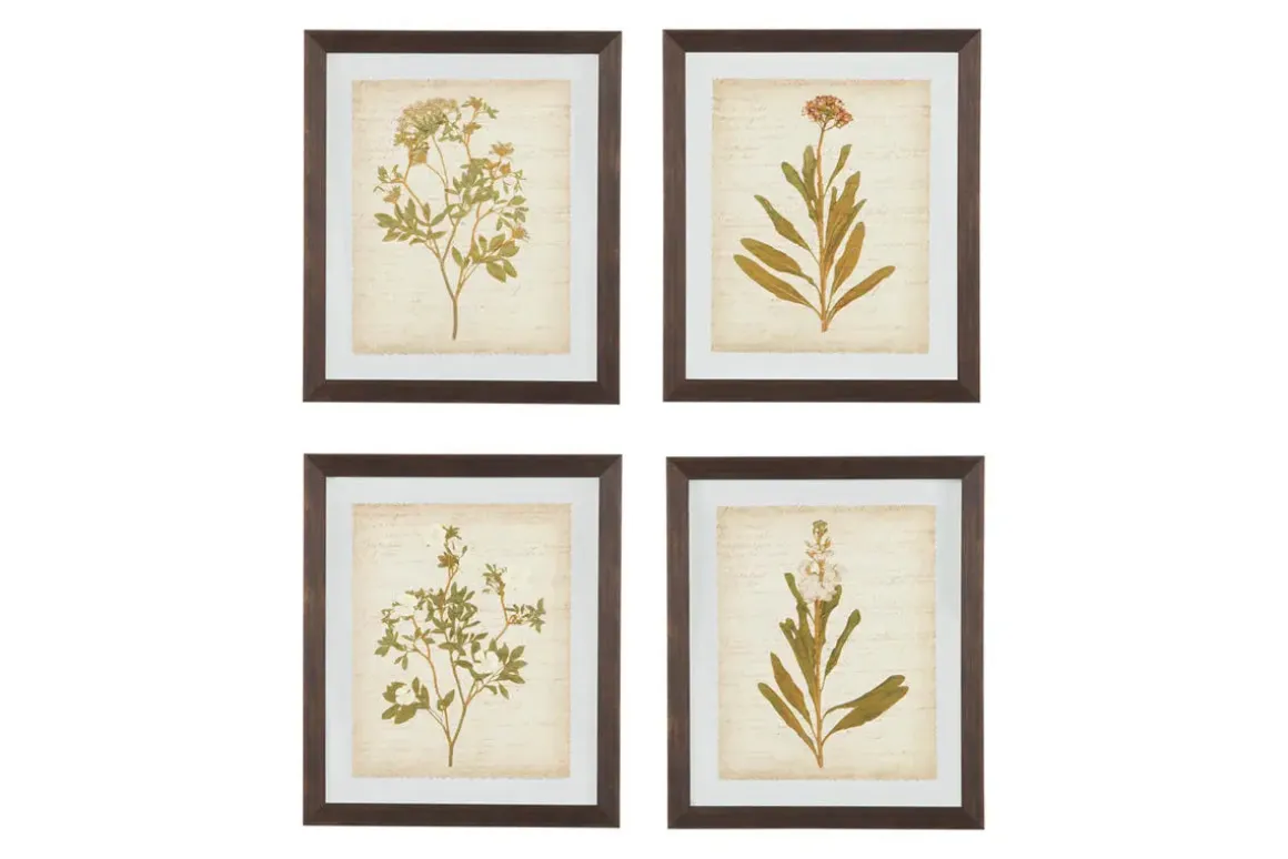 Dyani Wall Art, Set Of 4
