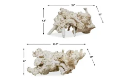 Elemental Roots Sculpture, Set Of 2