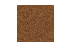 Emillia 7 Piece Sectional In Caramel