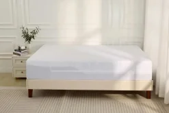 Encased Mattress Protector In White, Twin