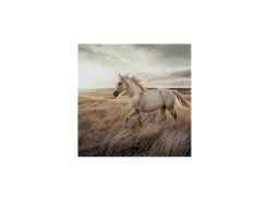 Errolville Horse On Glass Wall Art