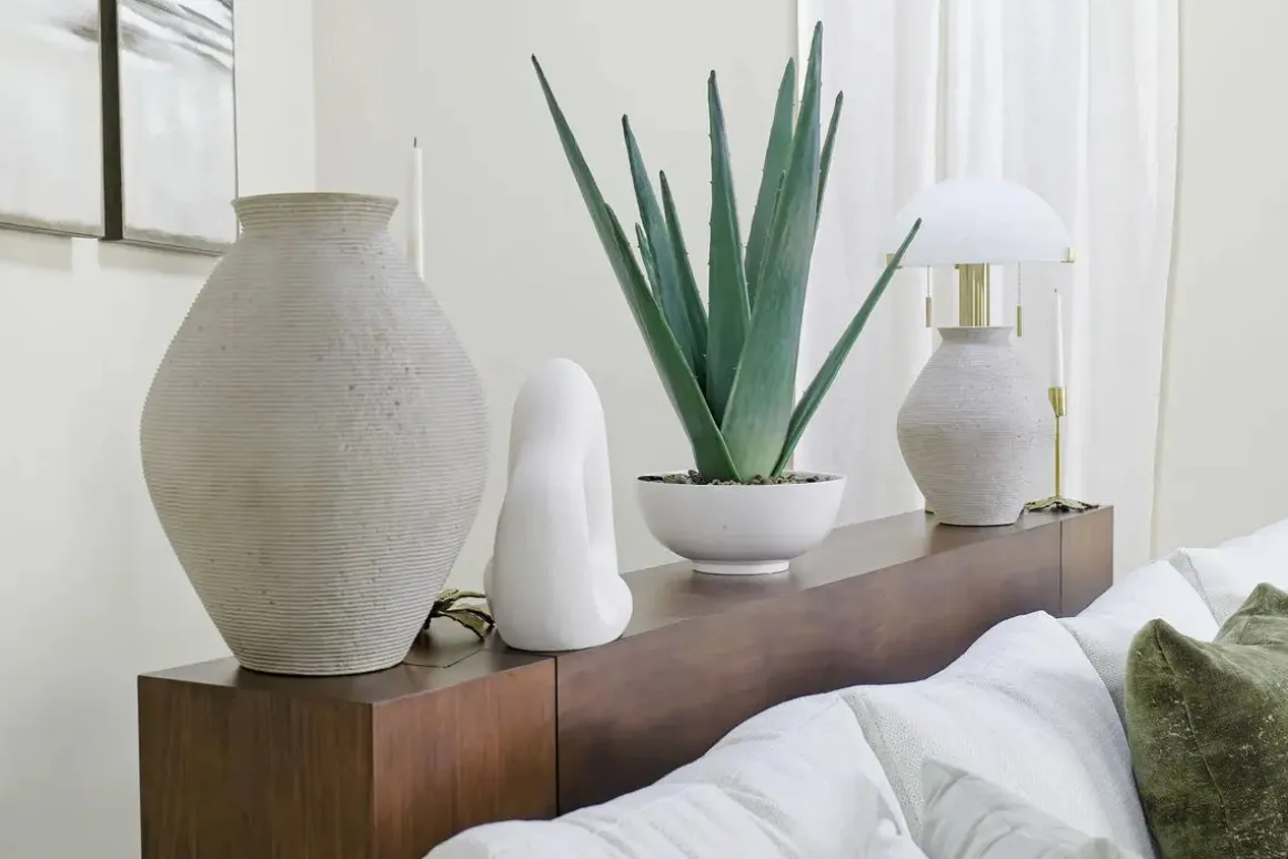 Evarado Aloe Planter