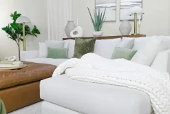 Evarado Aloe Planter