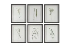 Forest Finds Wall Art, Set Of 6