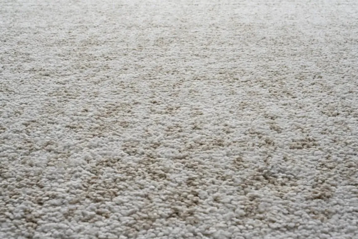 Granada Monte Rug In Ivory/Beige, 5’ X 8’