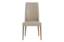 Jo Leather Side Chair In Aspen