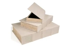 Jolina Box In Black, Set Of 3