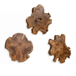 Kalani Wood Wall Art In Bleached Brown, Set Of 3