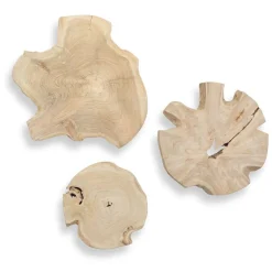 Kalani Wood Wall Art In Bleached Brown, Set Of 3