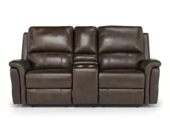 Martina Reclining Loveseat In Dark Brown
