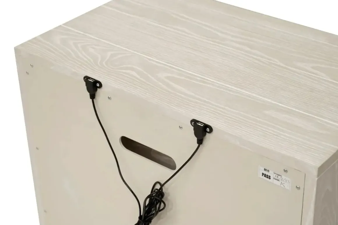 Maxime 2 Drawer Nightstand W/ Usb In Sugar