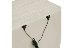 Maxime 2 Drawer Nightstand W/ Usb In Sugar