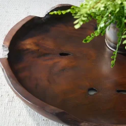 Natures Edge Bowl In Brown