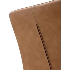 Nicoya Side Chair In Brown, Set Of 2