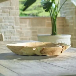 Organic Embrace Bowl In Brown