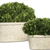 Oval Domes Preserved Boxwood, Set Of 2