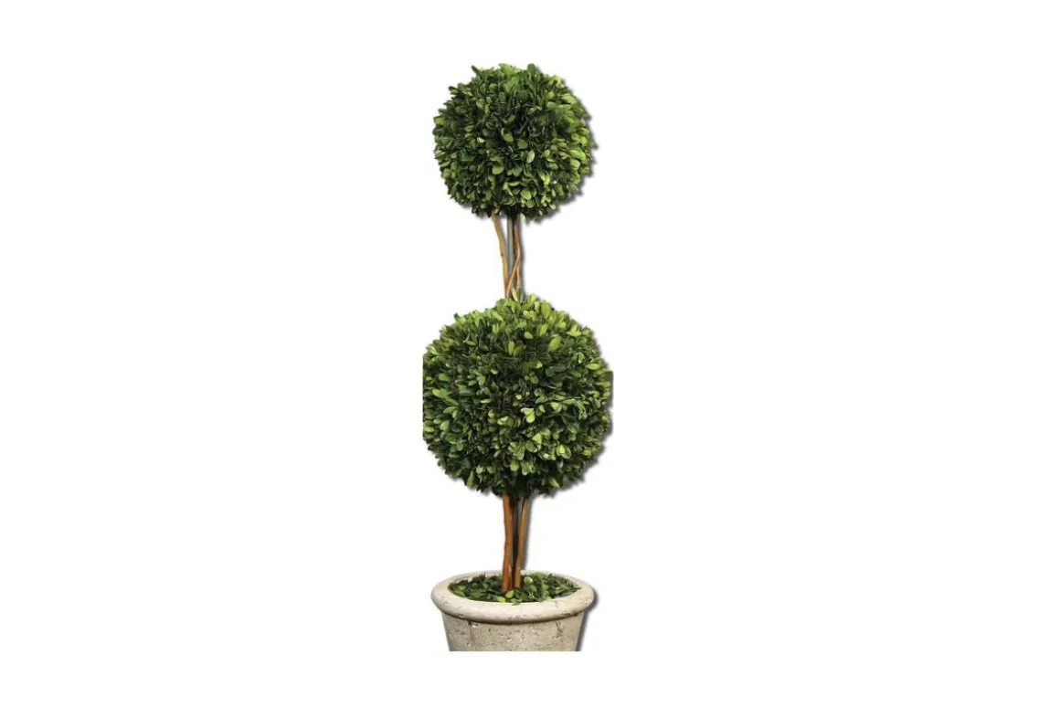 Oval Domes Preserved Boxwood, Set Of 2