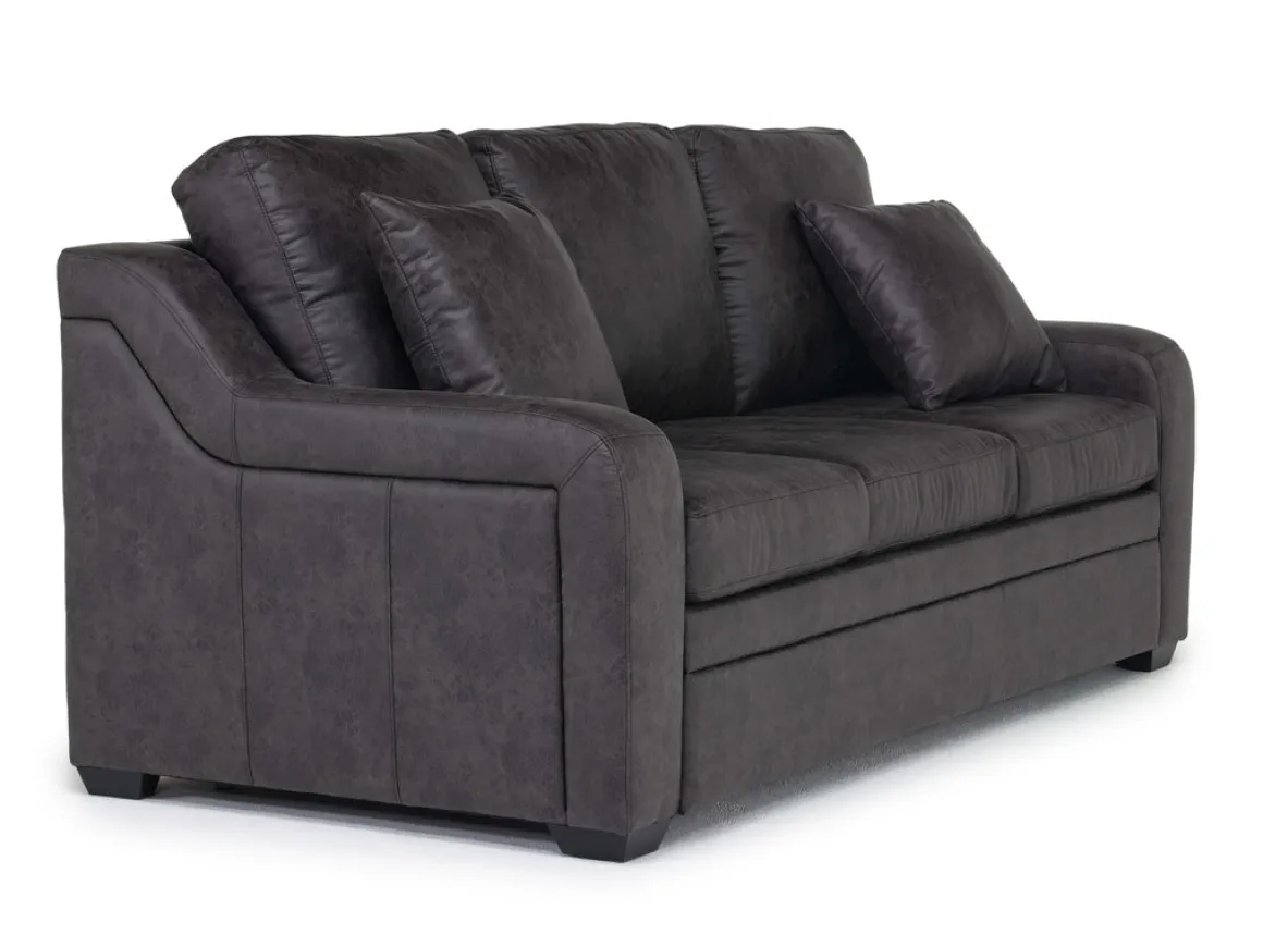 Regalla Queen Sleeper Sofa In Meluco