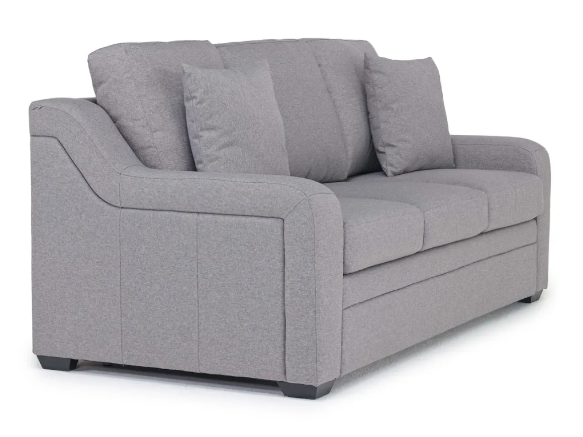 Regalla Queen Sleeper Sofa In Meluco