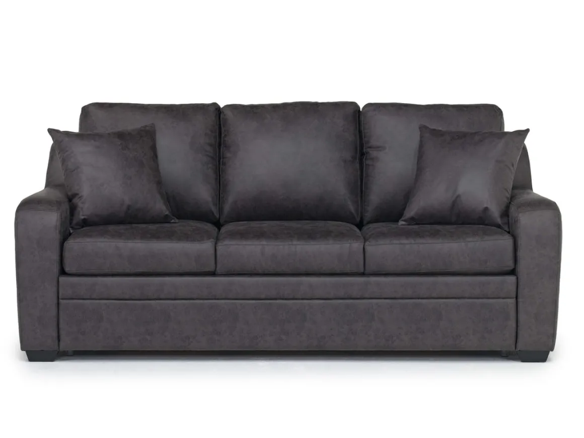 Regalla Queen Sleeper Sofa In Meluco