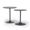Remy Nesting Table In Gunmetal/Dark Brown Set Of 2