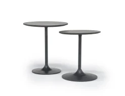 Remy Nesting Table In Gunmetal/Dark Brown Set Of 2