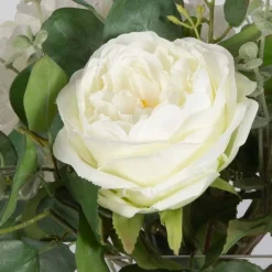 Rosewood Garden Plant