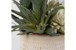 Seaside Succulents, Set Of 2