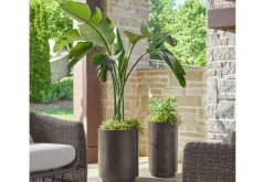 Volcan Planter Vase In Bronze, Set Of 2