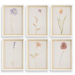 Wild Flourish Wall Art, Set Of 6