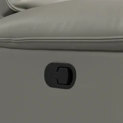 Wildcat Reclining Loveseat In Gray