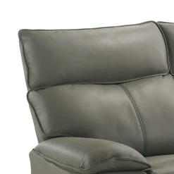 Wildcat Reclining Loveseat In Gray