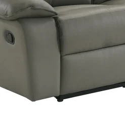 Wildcat Reclining Loveseat In Gray