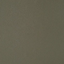 Wildcat Reclining Loveseat In Gray