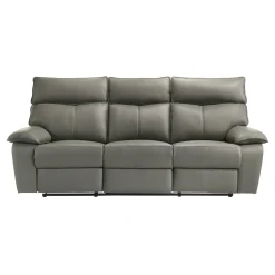 Wildcat Reclining Sofa In Gray