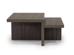 Zendex Coffee Table & End Table Set In Brown