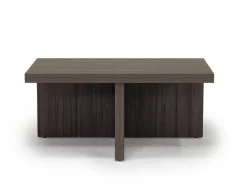 Zendex Coffee Table & End Table Set In Brown